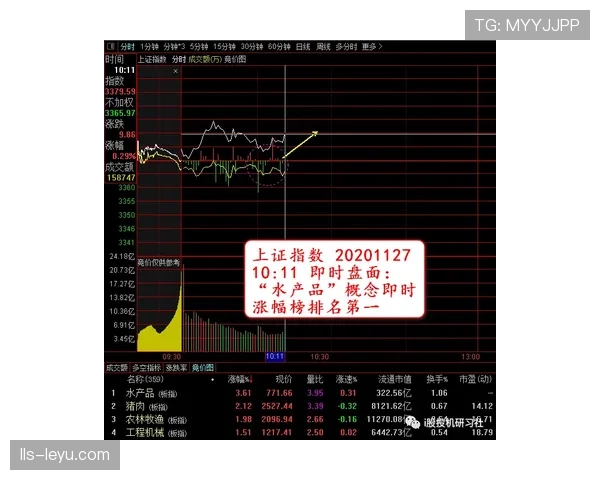 深度:数据透视德甲“后腰后卫化”趋势,对低位防守体系构建的影响